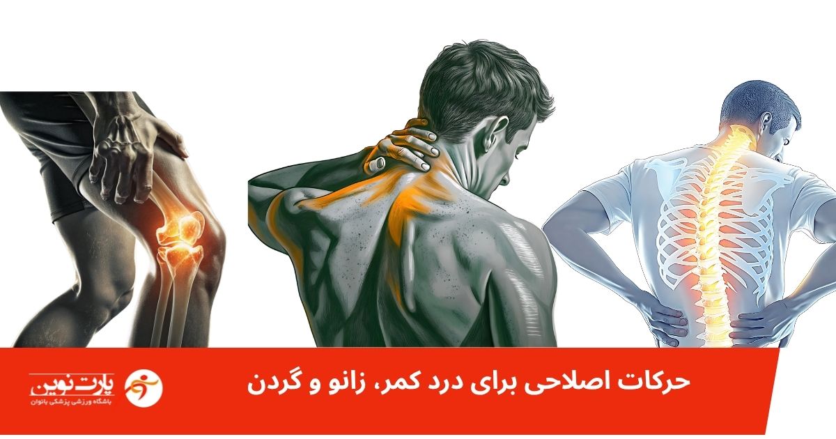 تأثیر شگفت‌انگیز حرکات اصلاحی بر درد کمر، زانو و گردن