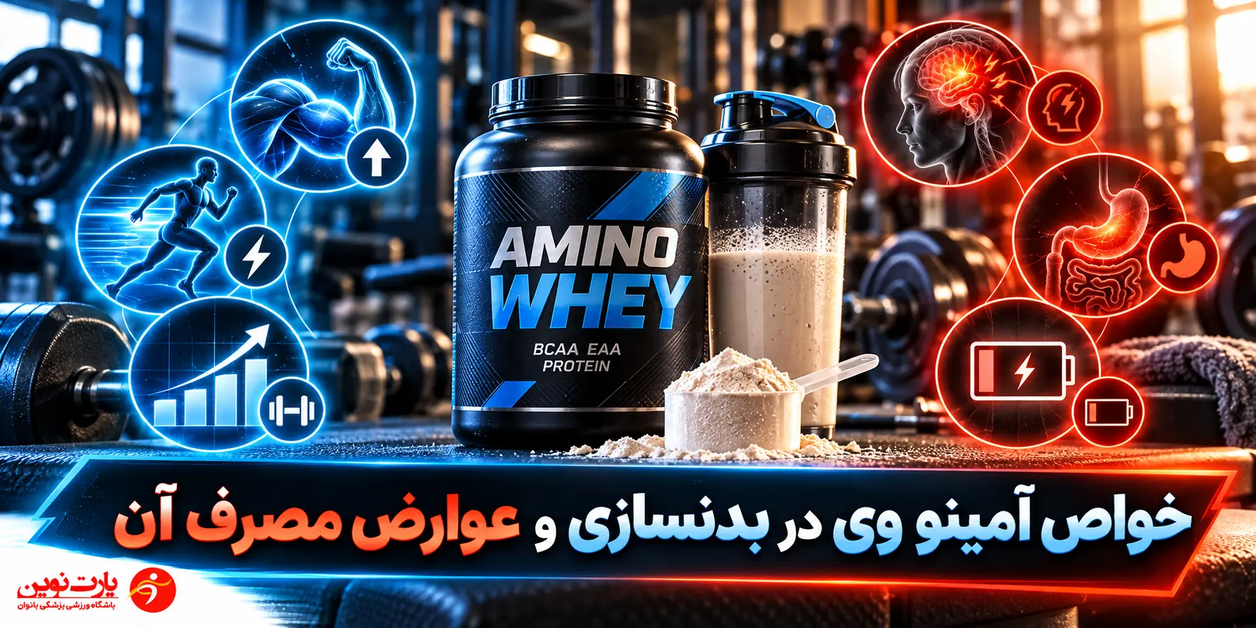 خواص آمینو وی در بدنسازی